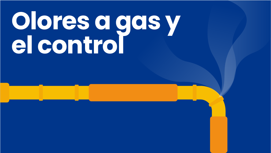 Olor a gas y control