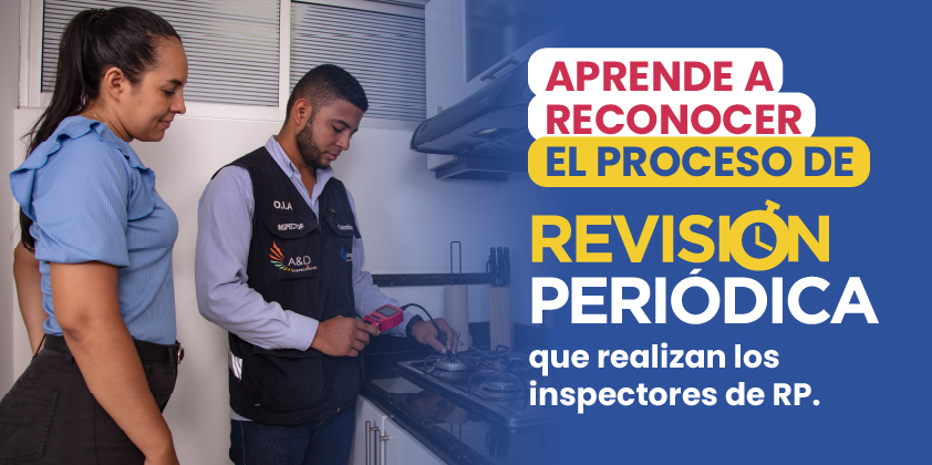 Revisión periódica con Llanogas